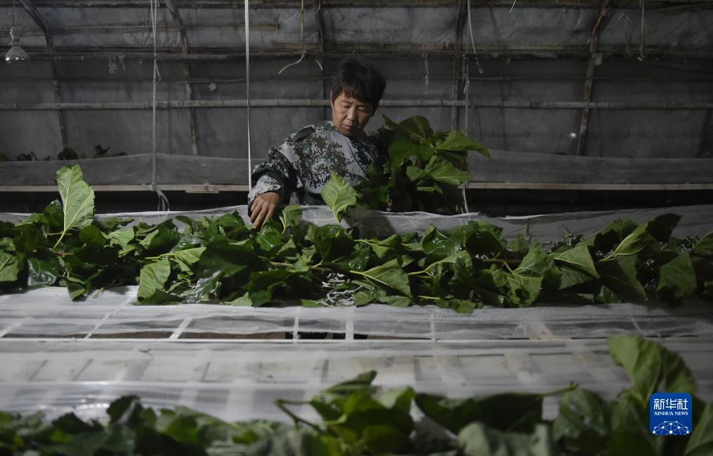 金沙登陆网址